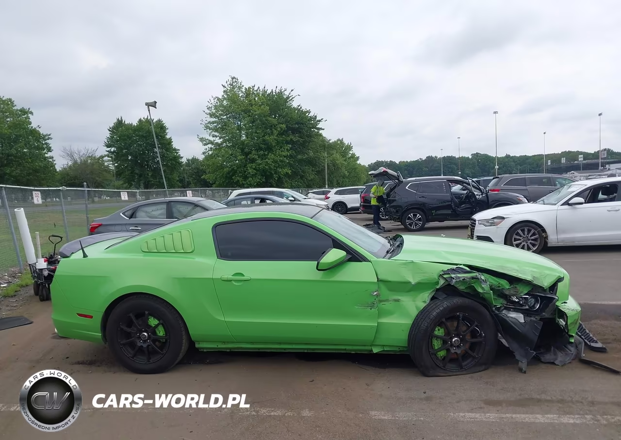 2014 Ford Mustang V6 VIN:1ZVBP8AM9E5318176 - 13