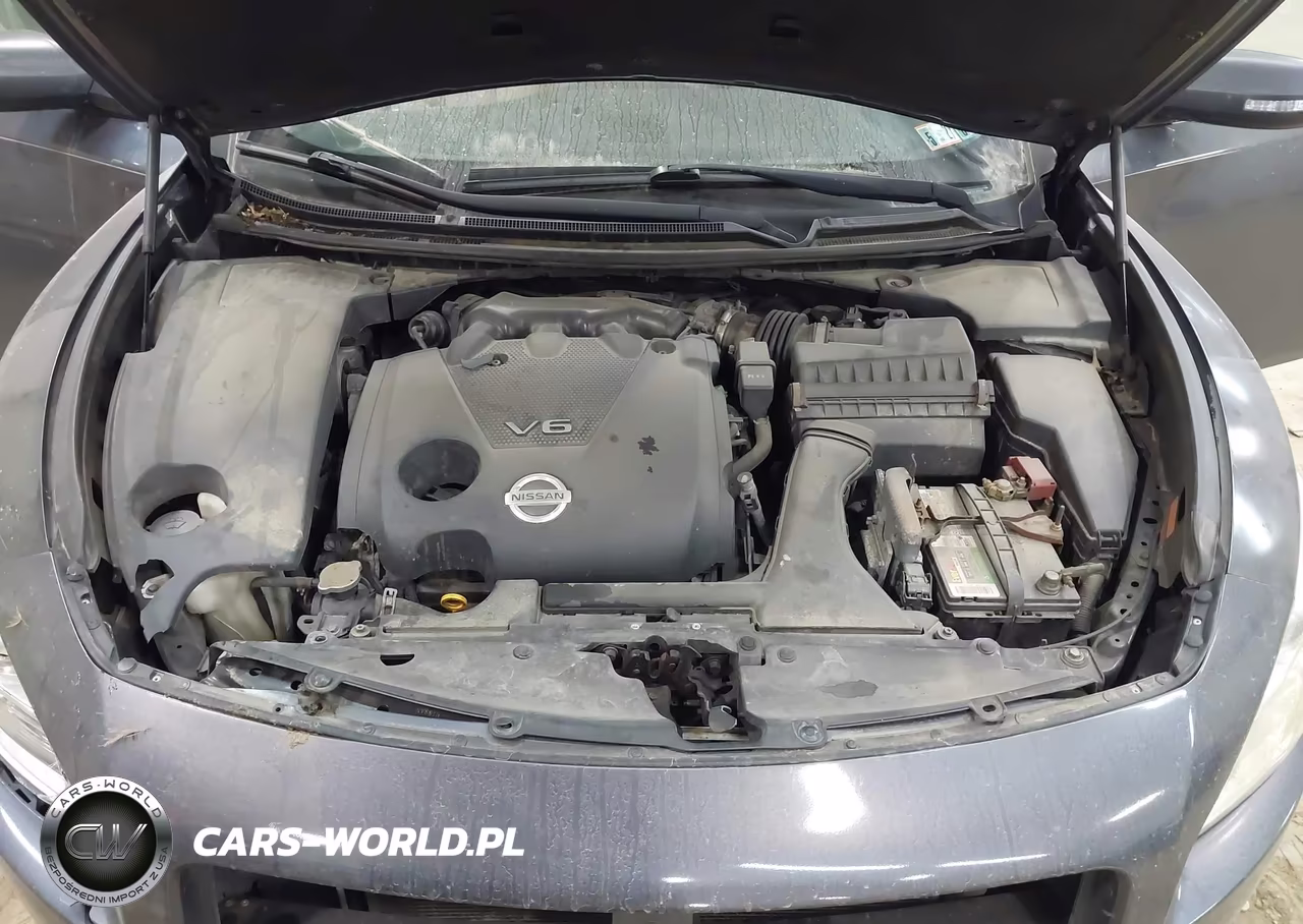 2013 Nissan Maxima 3.5 Sv VIN:1N4AA5AP7DC804090 - 10