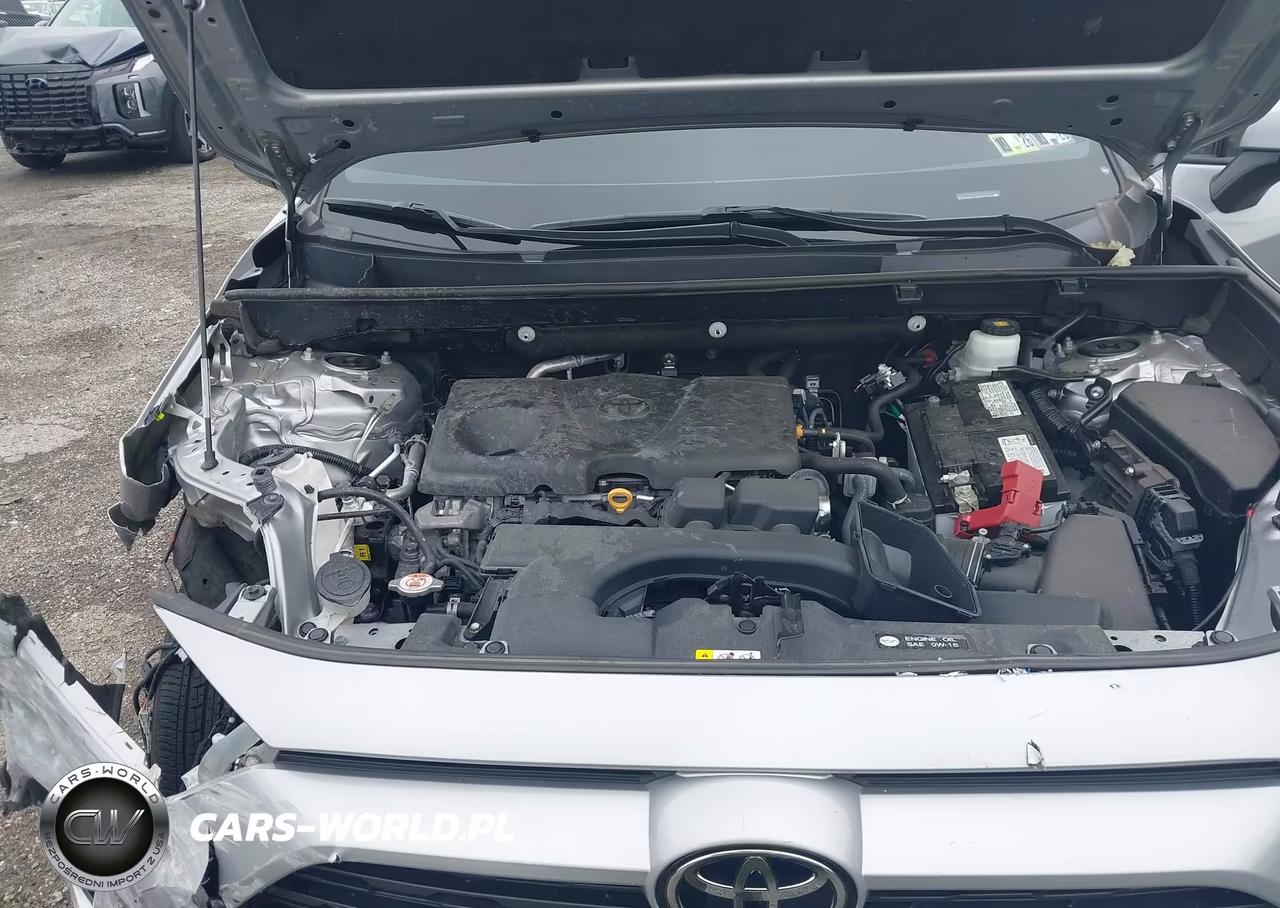 2023 Toyota Rav4 Xle VIN:2T3W1RFV8PW251885 - 10