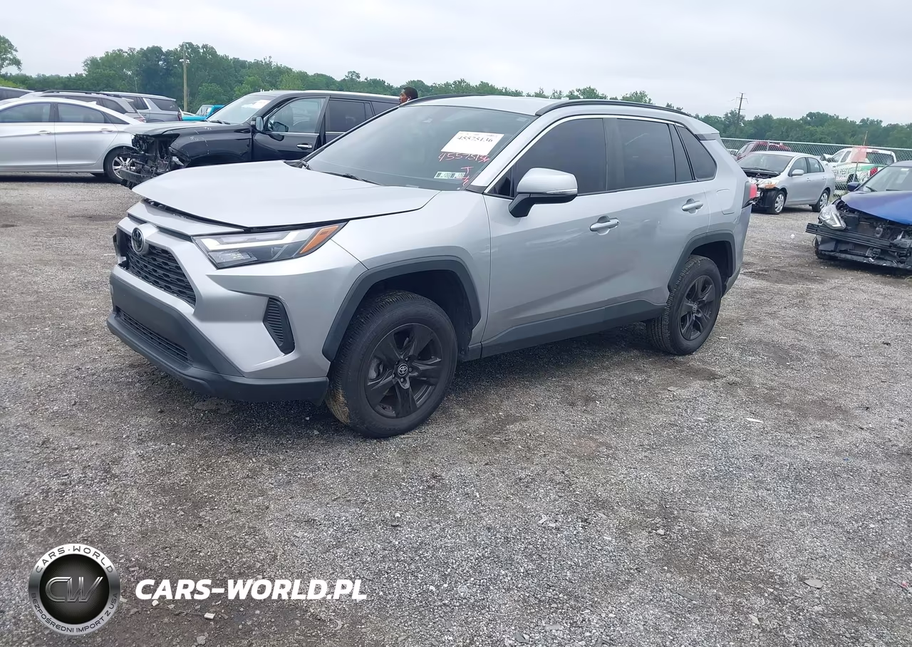 2023 Toyota Rav4 Xle VIN:2T3W1RFV8PW251885 - 2