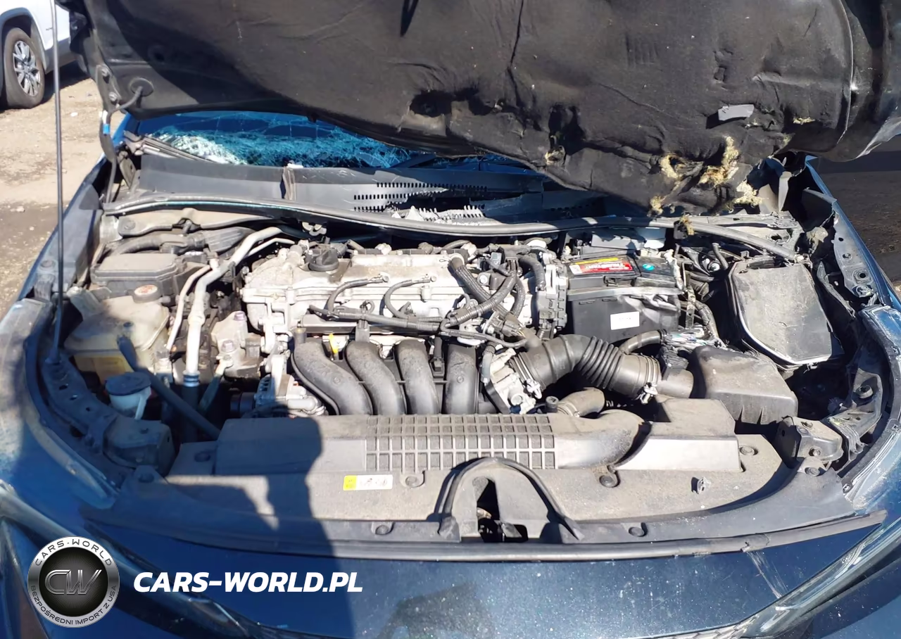 2020 Toyota Corolla Xle VIN:5YFFPRAEXLP026460 - 10