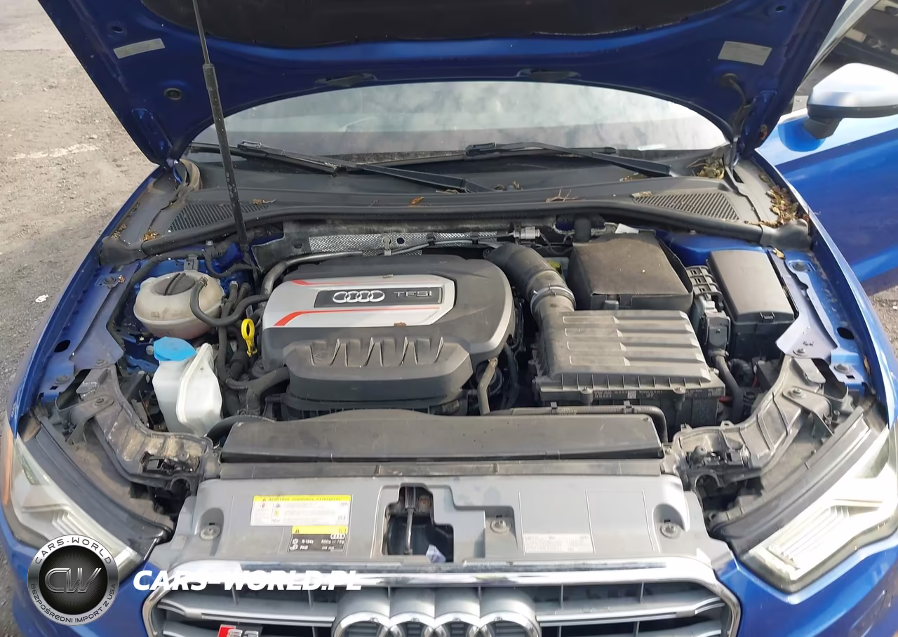 2016 Audi S3 Premium Plus VIN:WAUB1GFF4G1058169 - 10