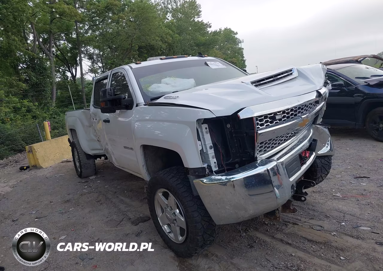 2019 Chevrolet Silverado 2500Hd Wt VIN:1GC1KREY5KF102573 - 6