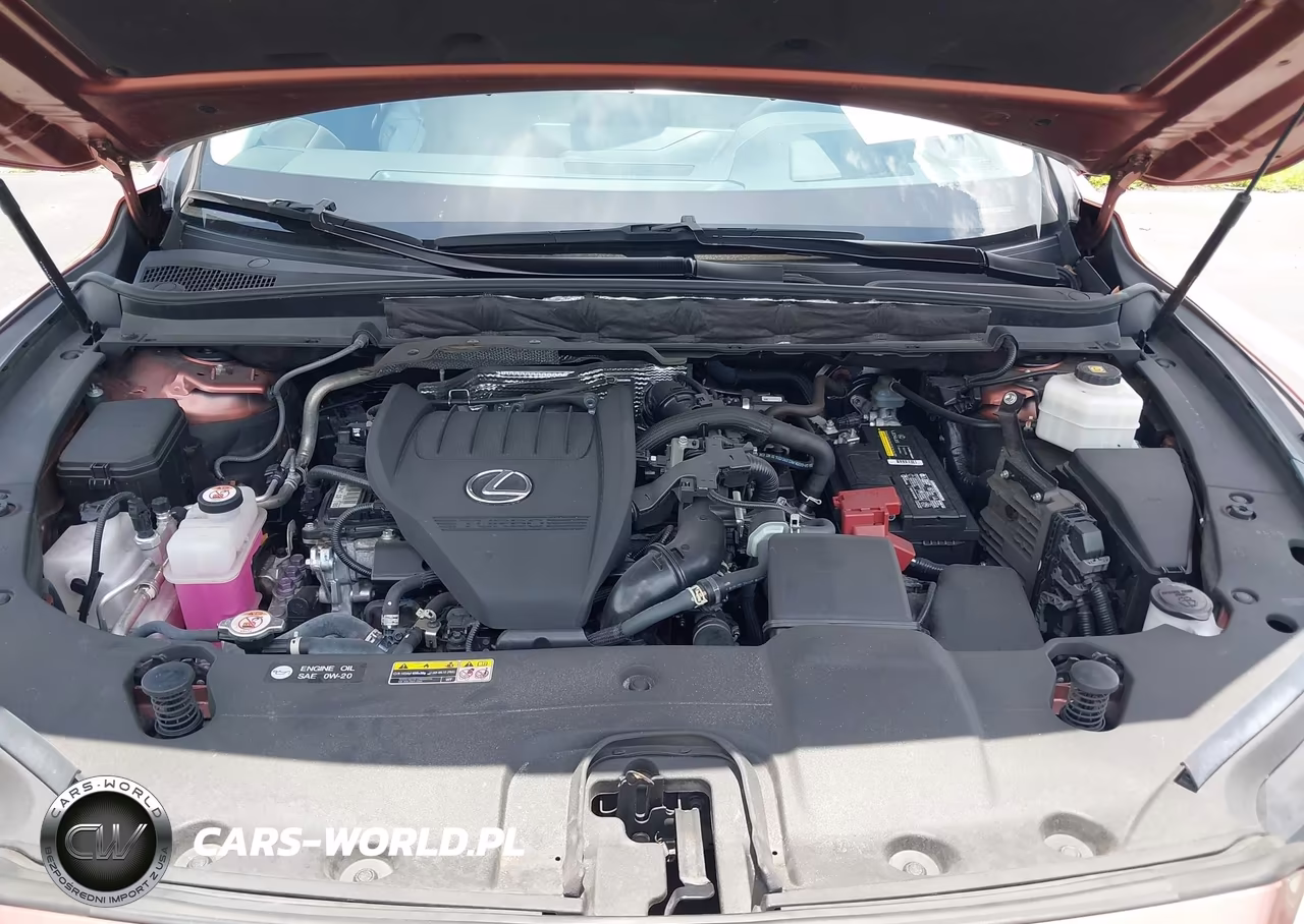 2023 Lexus Rx 350 Premium Plus VIN:2T2BAMCA5PC015316 - 10