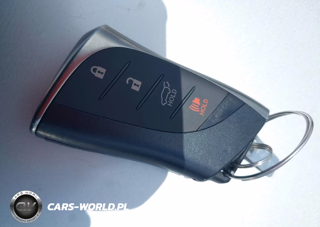2023 Lexus Rx 350 Premium Plus VIN:2T2BAMCA5PC015316 - 11