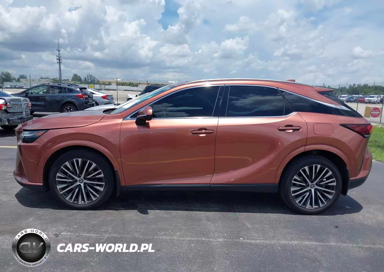 2023 Lexus Rx 350 Premium Plus VIN:2T2BAMCA5PC015316 - 14