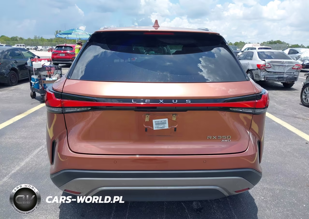 2023 Lexus Rx 350 Premium Plus VIN:2T2BAMCA5PC015316 - 16