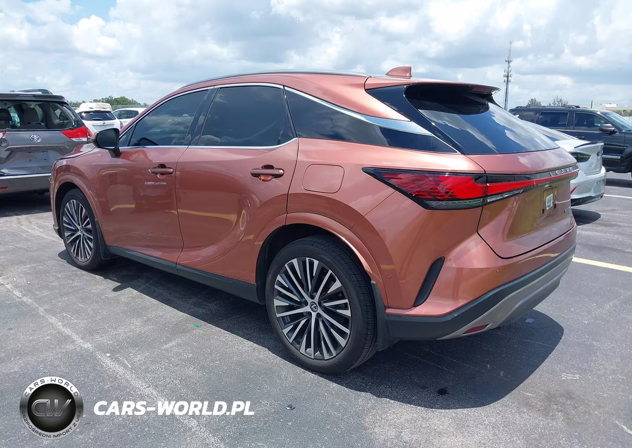 2023 Lexus Rx 350 Premium Plus VIN:2T2BAMCA5PC015316 - 3