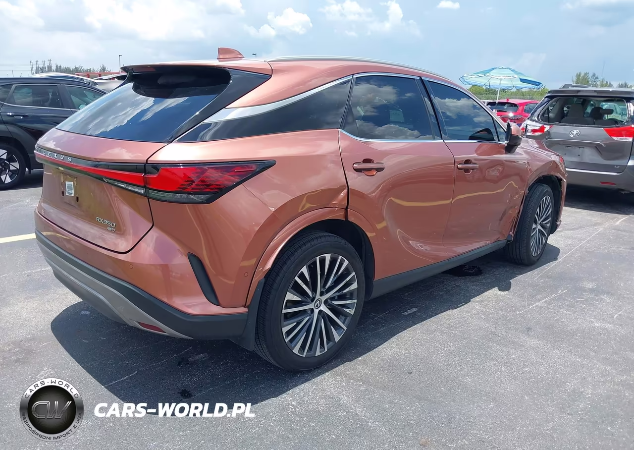 2023 Lexus Rx 350 Premium Plus VIN:2T2BAMCA5PC015316 - 4