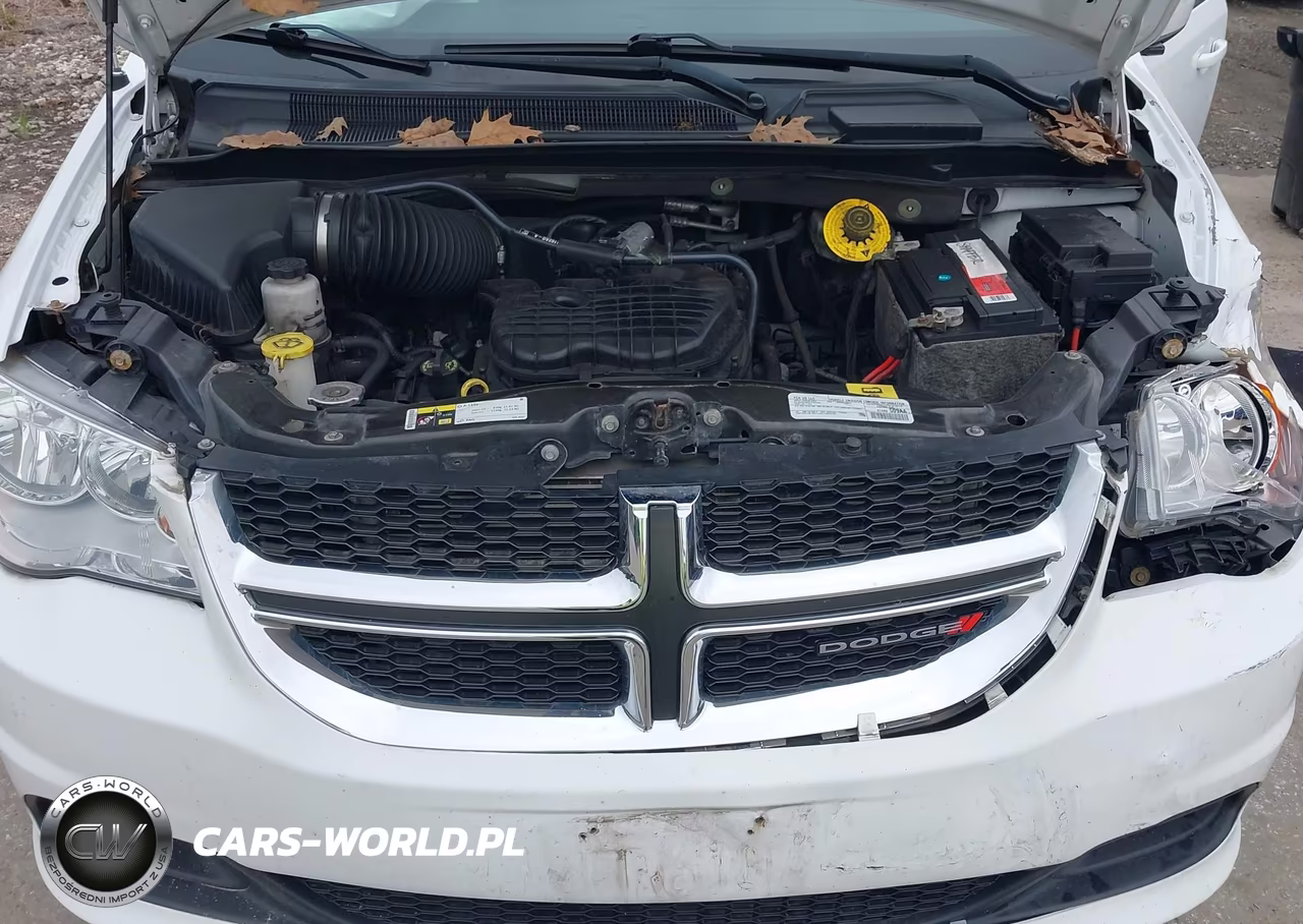 2016 Dodge Grand Caravan Sxt VIN:2C4RDGCG9GR354841 - 10