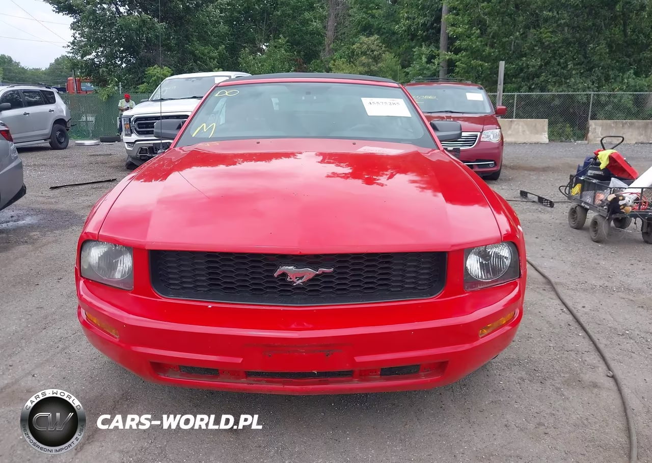 2005 Ford Mustang VIN:1ZVFT84N255187271 - 12