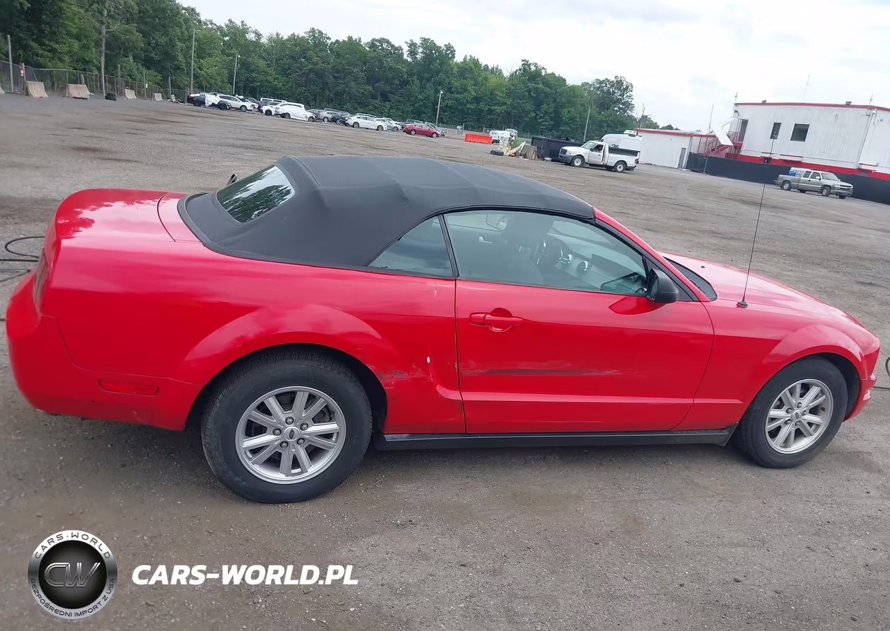 2005 Ford Mustang VIN:1ZVFT84N255187271 - 13
