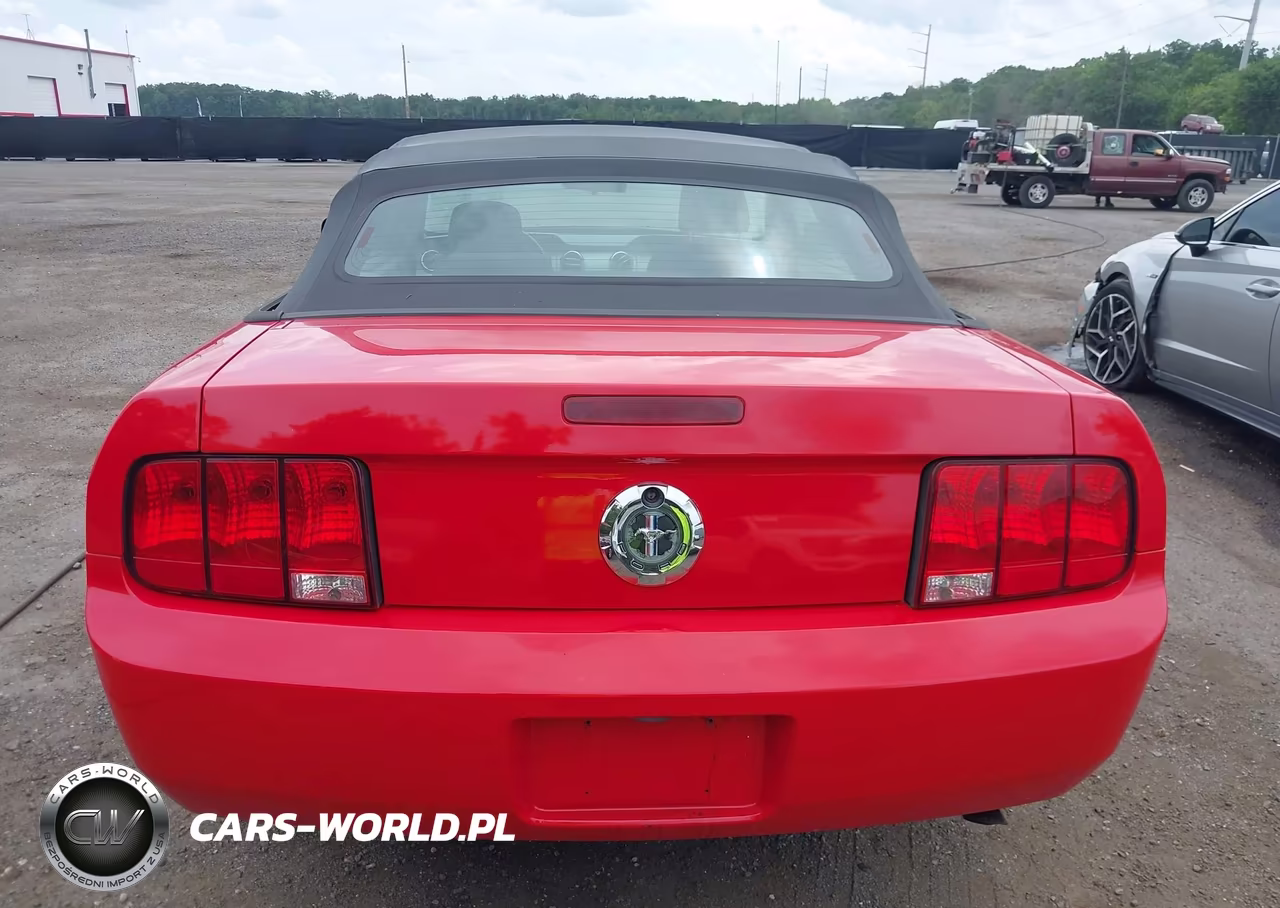 2005 Ford Mustang VIN:1ZVFT84N255187271 - 16
