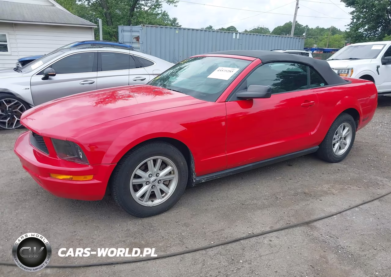 2005 Ford Mustang VIN:1ZVFT84N255187271 - 2
