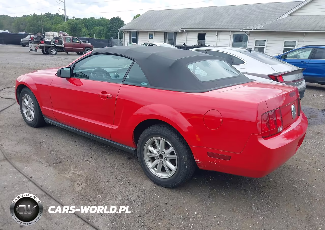 2005 Ford Mustang VIN:1ZVFT84N255187271 - 3