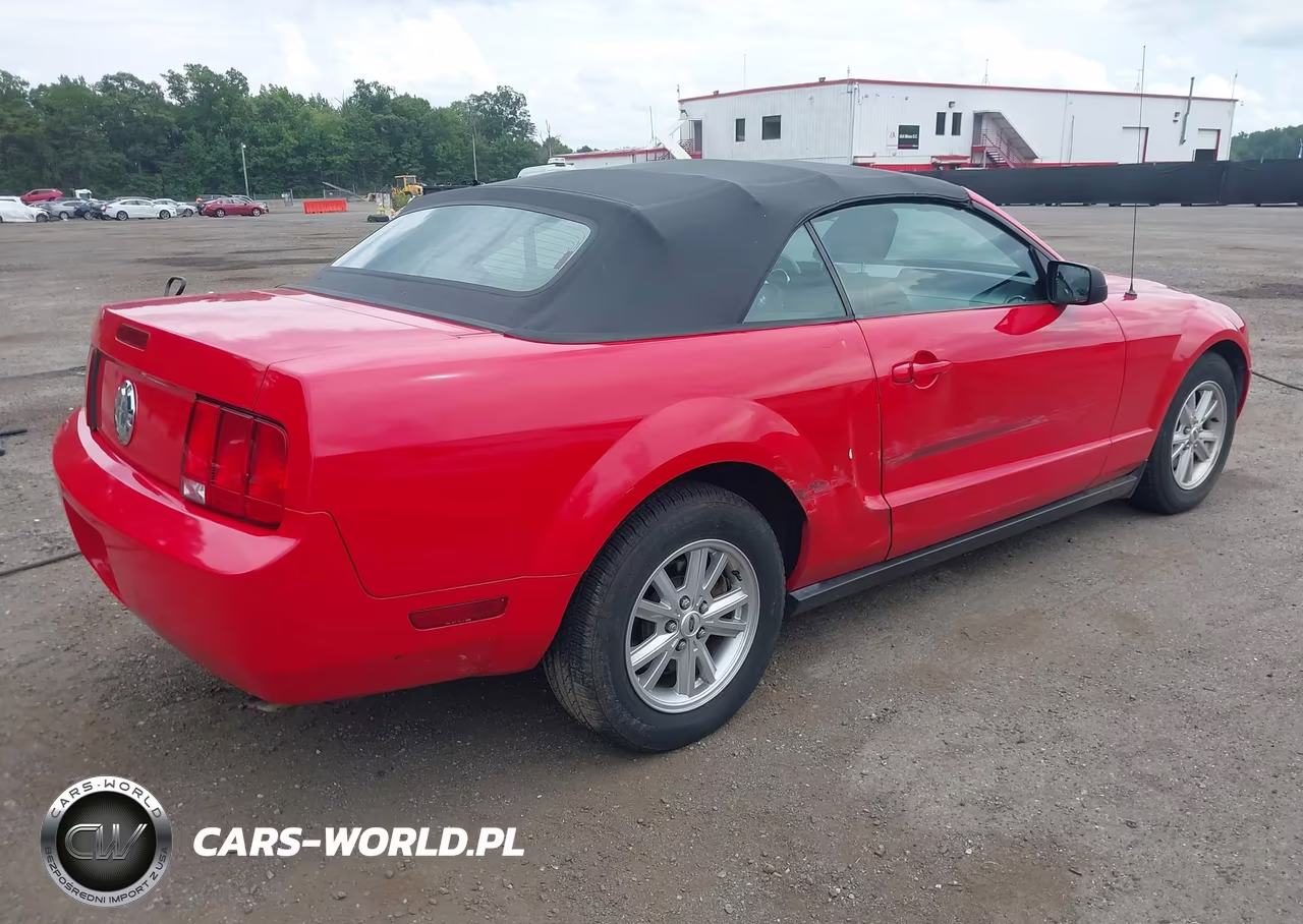 2005 Ford Mustang VIN:1ZVFT84N255187271 - 4