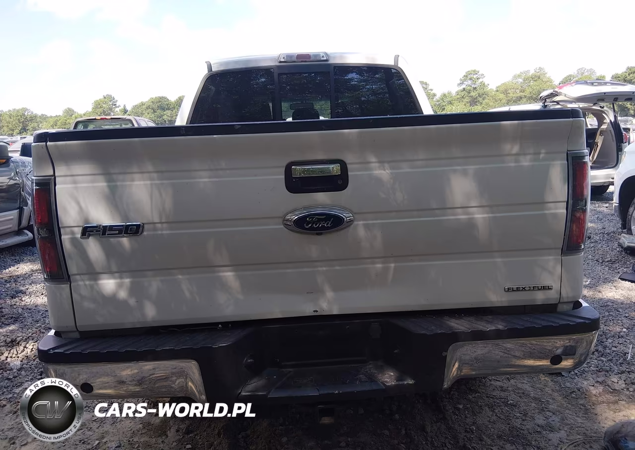 2013 Ford F-150 Xlt VIN:1FTFW1CF7DKG38870 - 17