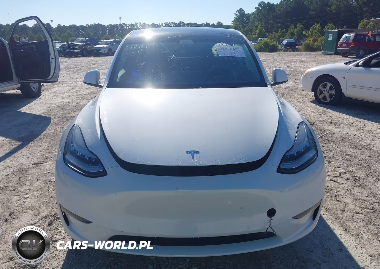 2020 Tesla Model Y Long Range Dual Motor All-Wheel Drive VIN:5YJYGDEE4LF038654 - 12