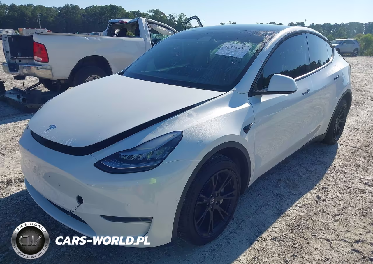 2020 Tesla Model Y Long Range Dual Motor All-Wheel Drive VIN:5YJYGDEE4LF038654 - 2
