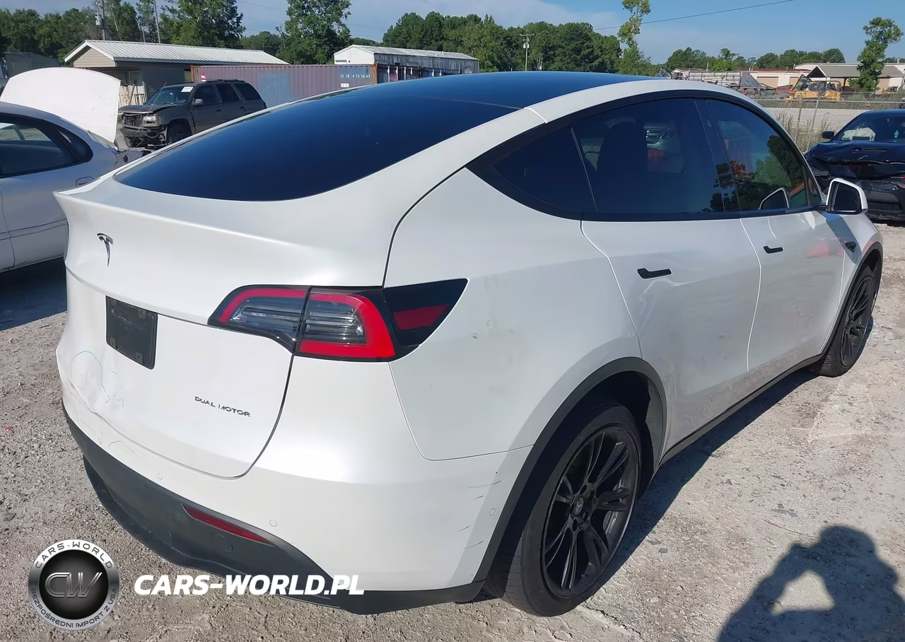 2020 Tesla Model Y Long Range Dual Motor All-Wheel Drive VIN:5YJYGDEE4LF038654 - 4