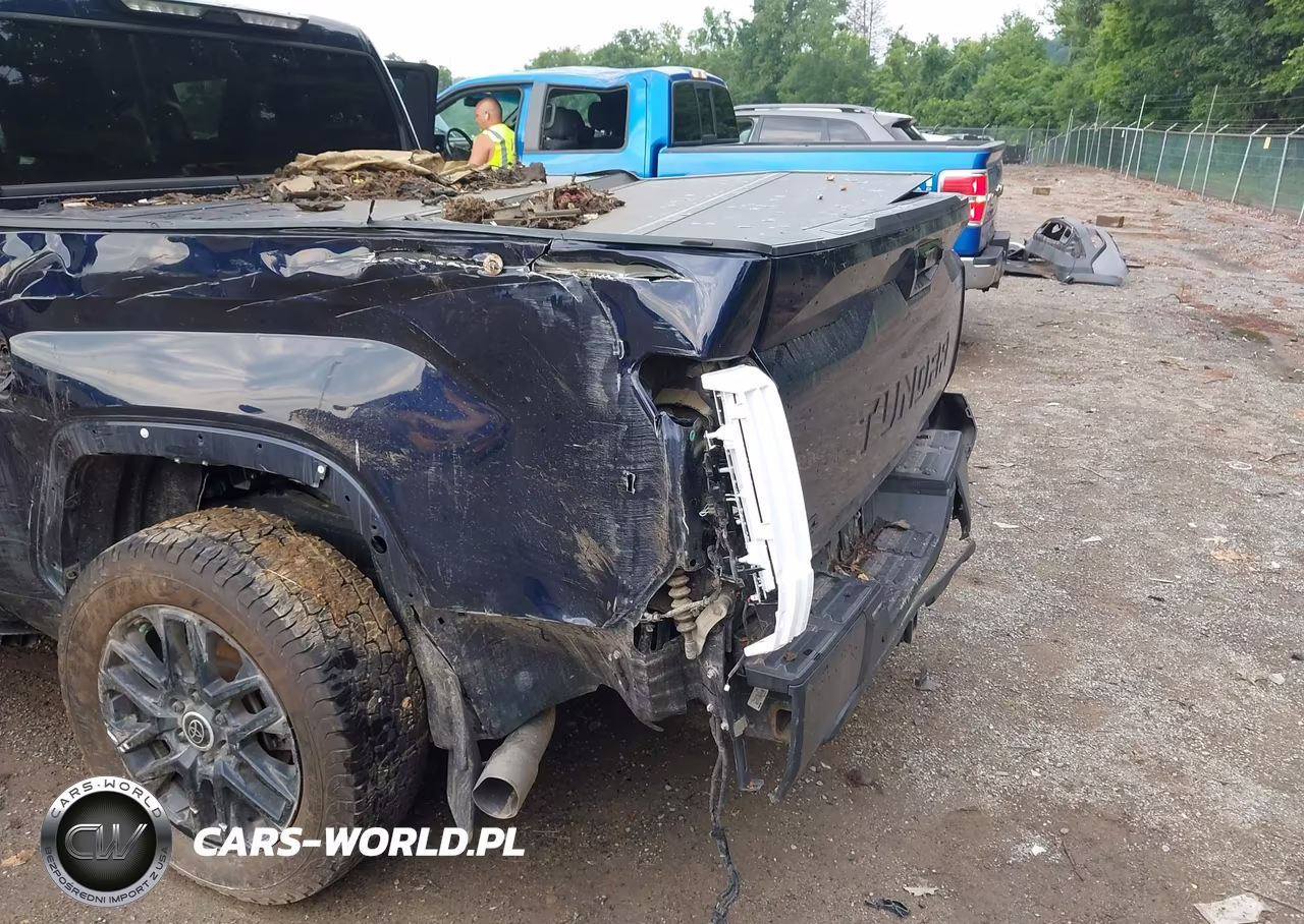 2024 Toyota Tundra Hybrid Limited 4Wd VIN:5TFWC5DB3RX055945 - 6