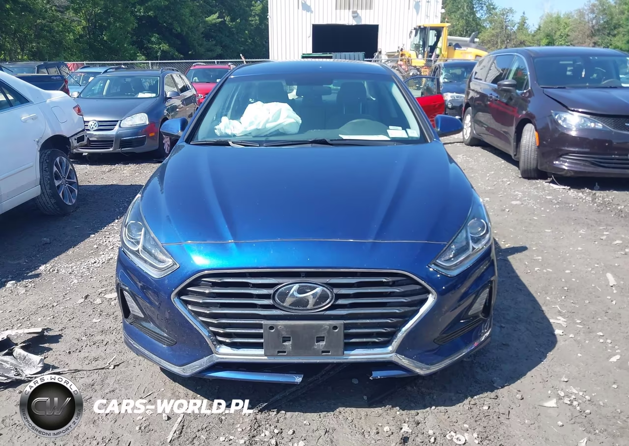 2019 Hyundai Sonata Se VIN:5NPE24AF7KH779297 - 12