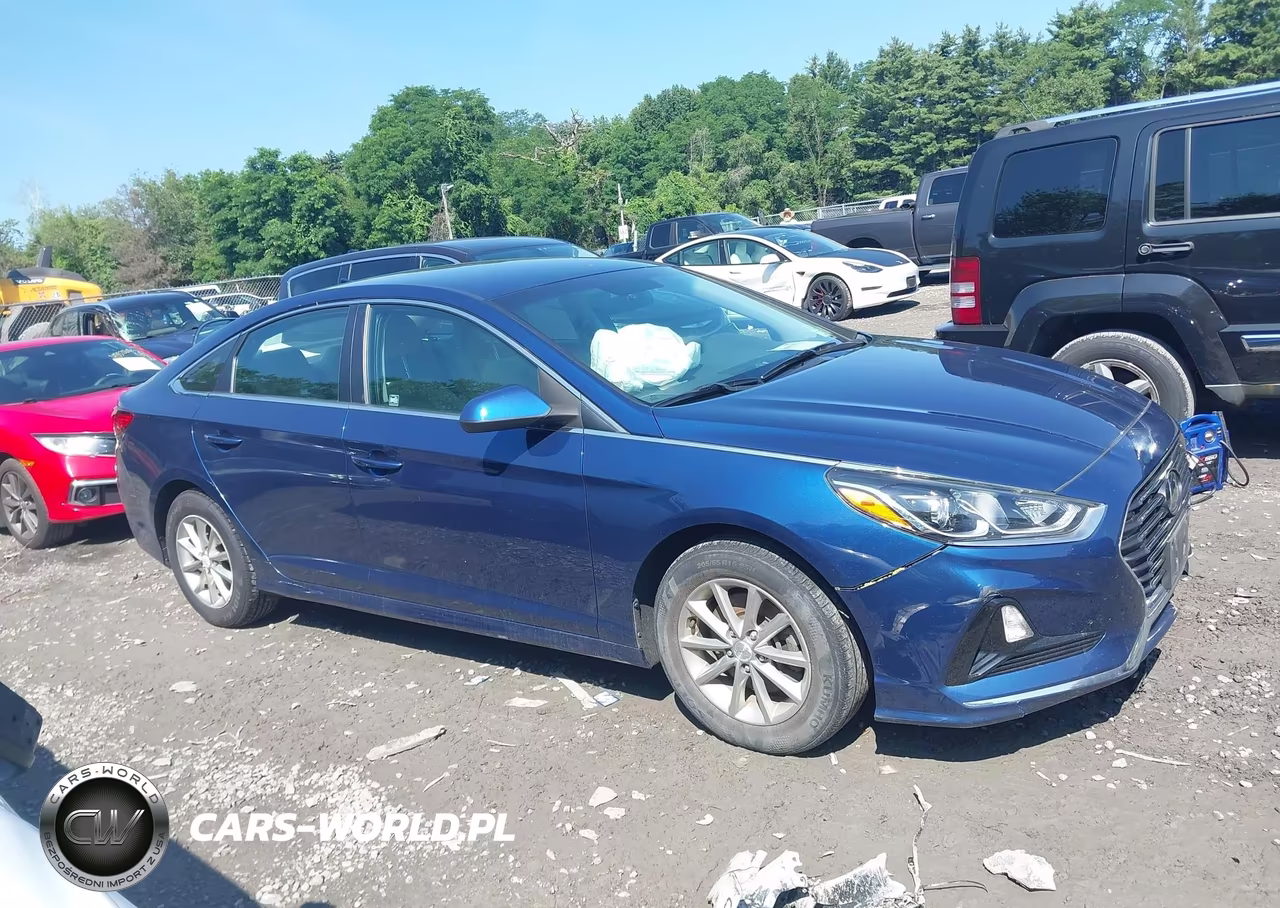 2019 Hyundai Sonata Se VIN:5NPE24AF7KH779297 - 13