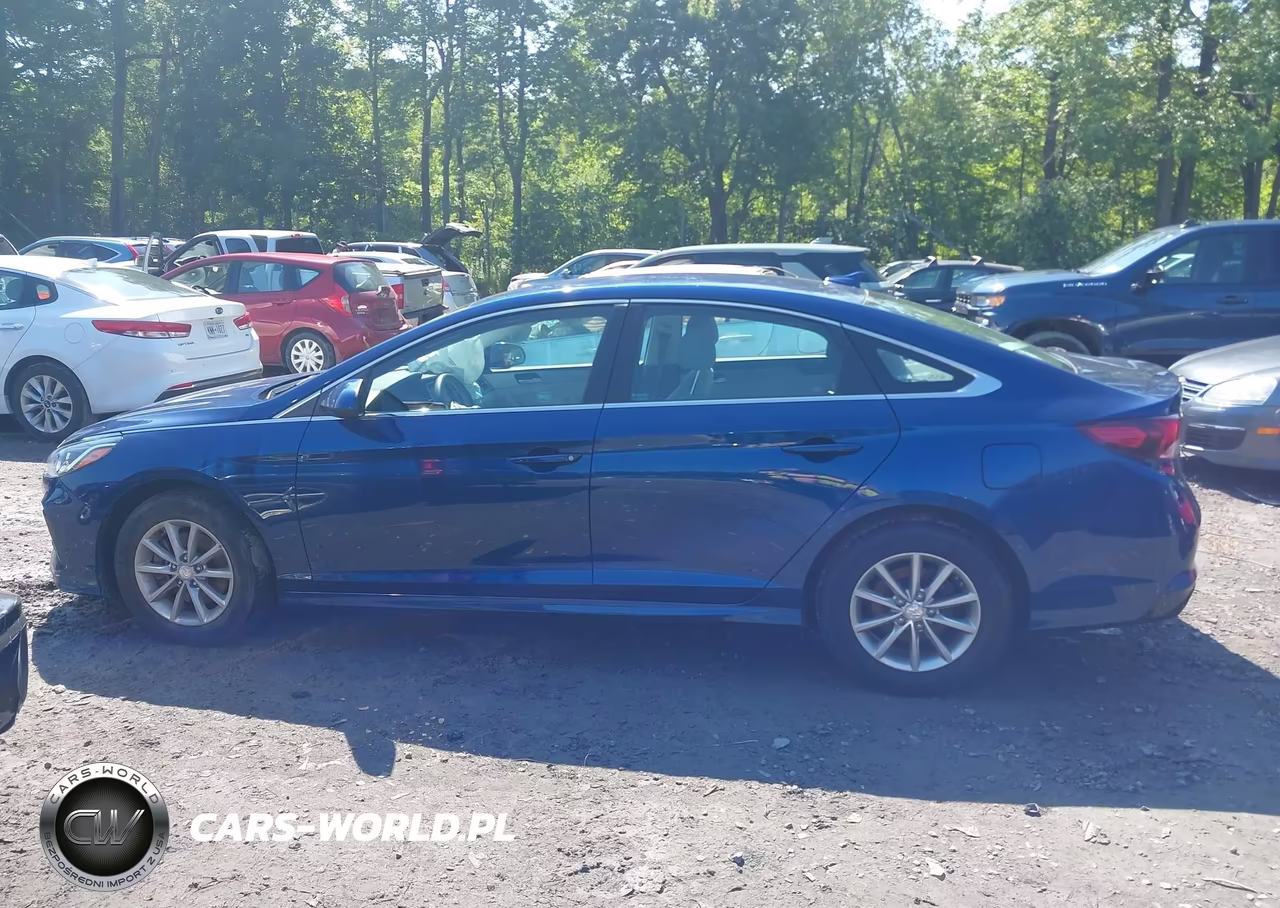 2019 Hyundai Sonata Se VIN:5NPE24AF7KH779297 - 14