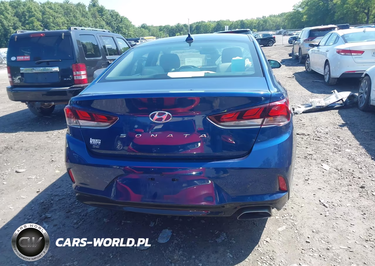 2019 Hyundai Sonata Se VIN:5NPE24AF7KH779297 - 16
