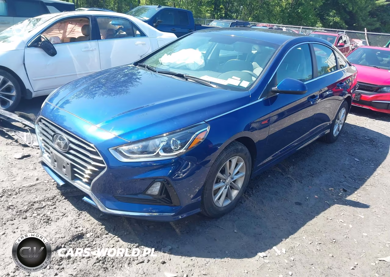 2019 Hyundai Sonata Se VIN:5NPE24AF7KH779297 - 2