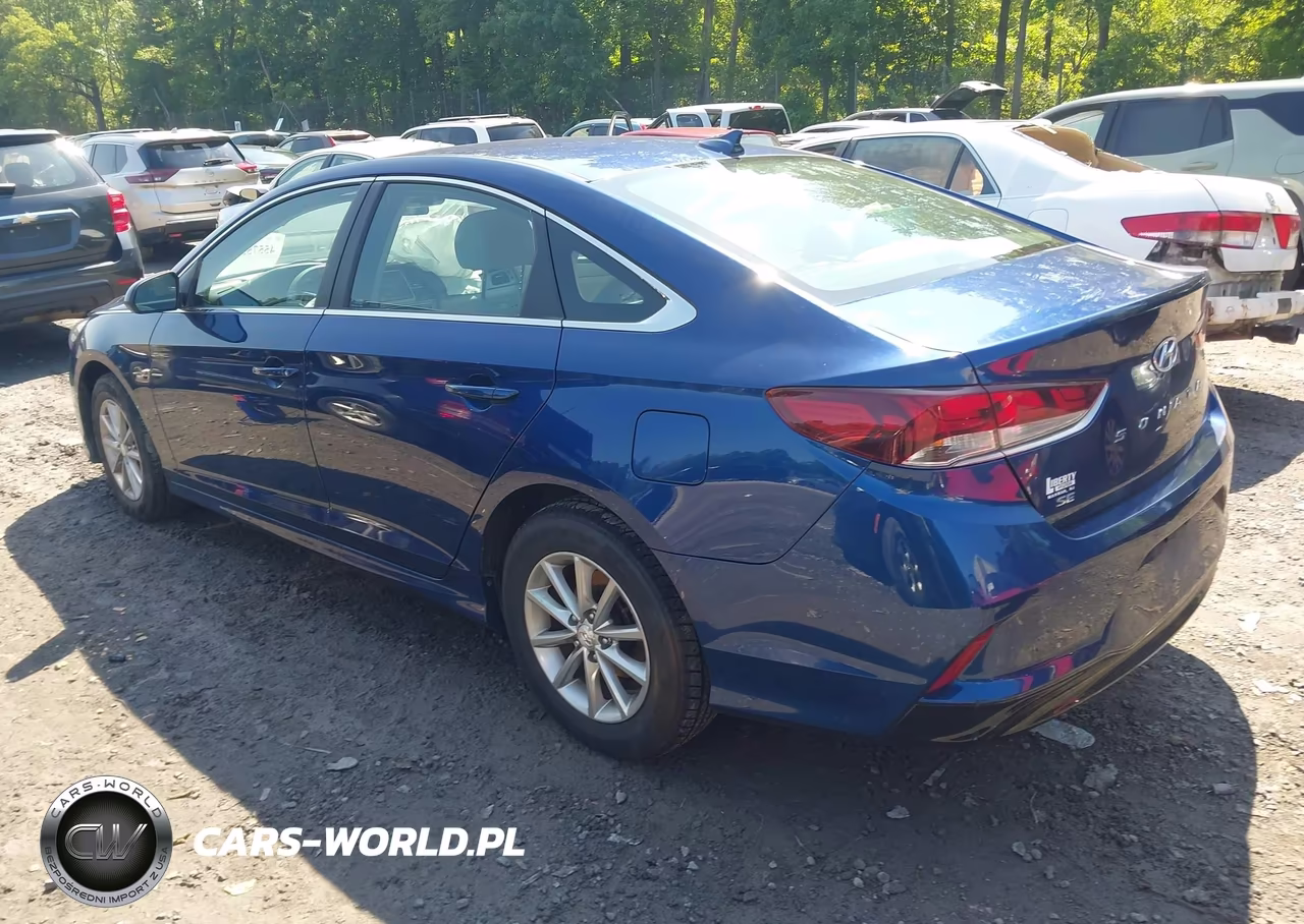 2019 Hyundai Sonata Se VIN:5NPE24AF7KH779297 - 3