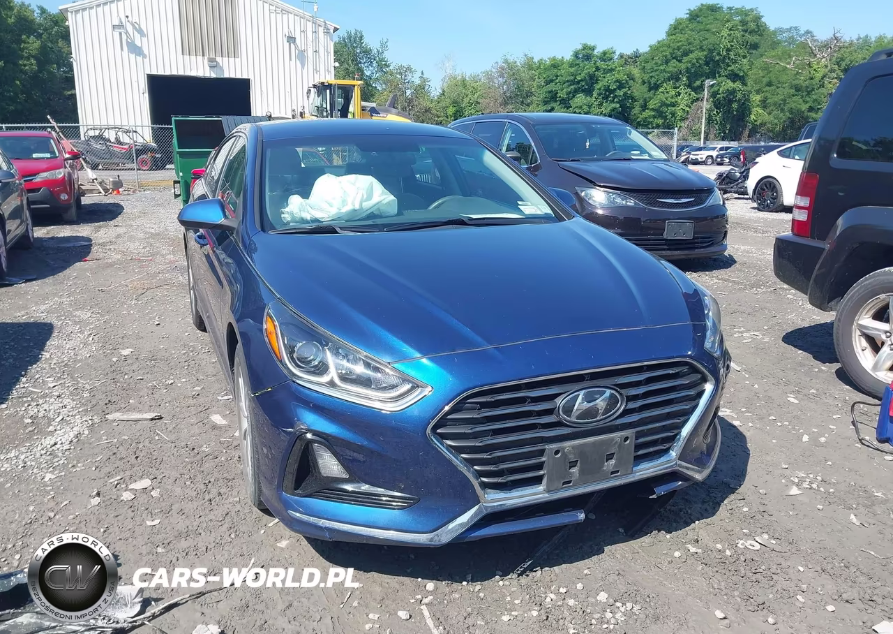 2019 Hyundai Sonata Se VIN:5NPE24AF7KH779297 - 6