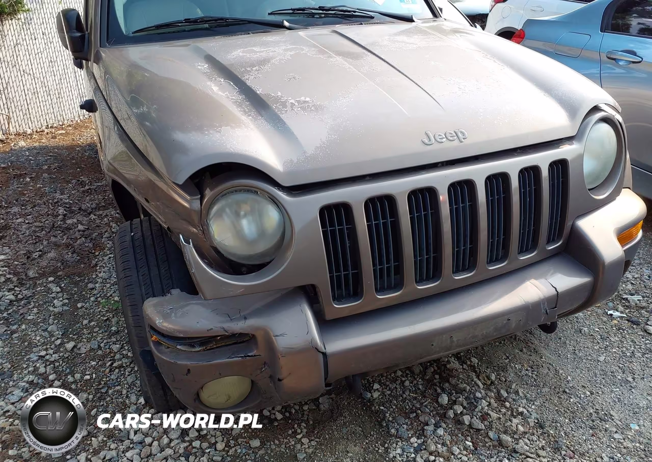 2002 Jeep Liberty Limited Edition VIN:1J4GL58K52W236016 - 12
