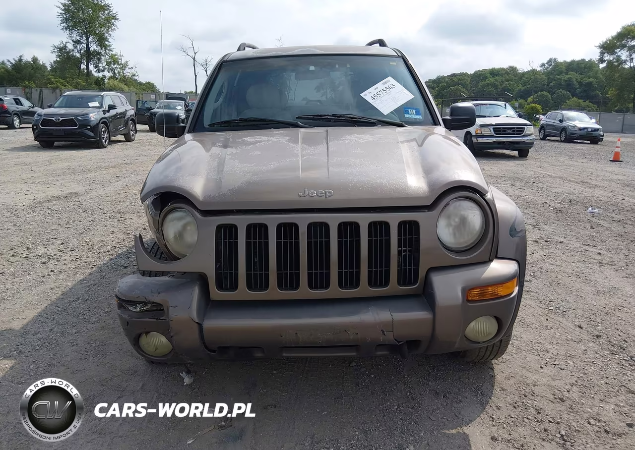 2002 Jeep Liberty Limited Edition VIN:1J4GL58K52W236016 - 13