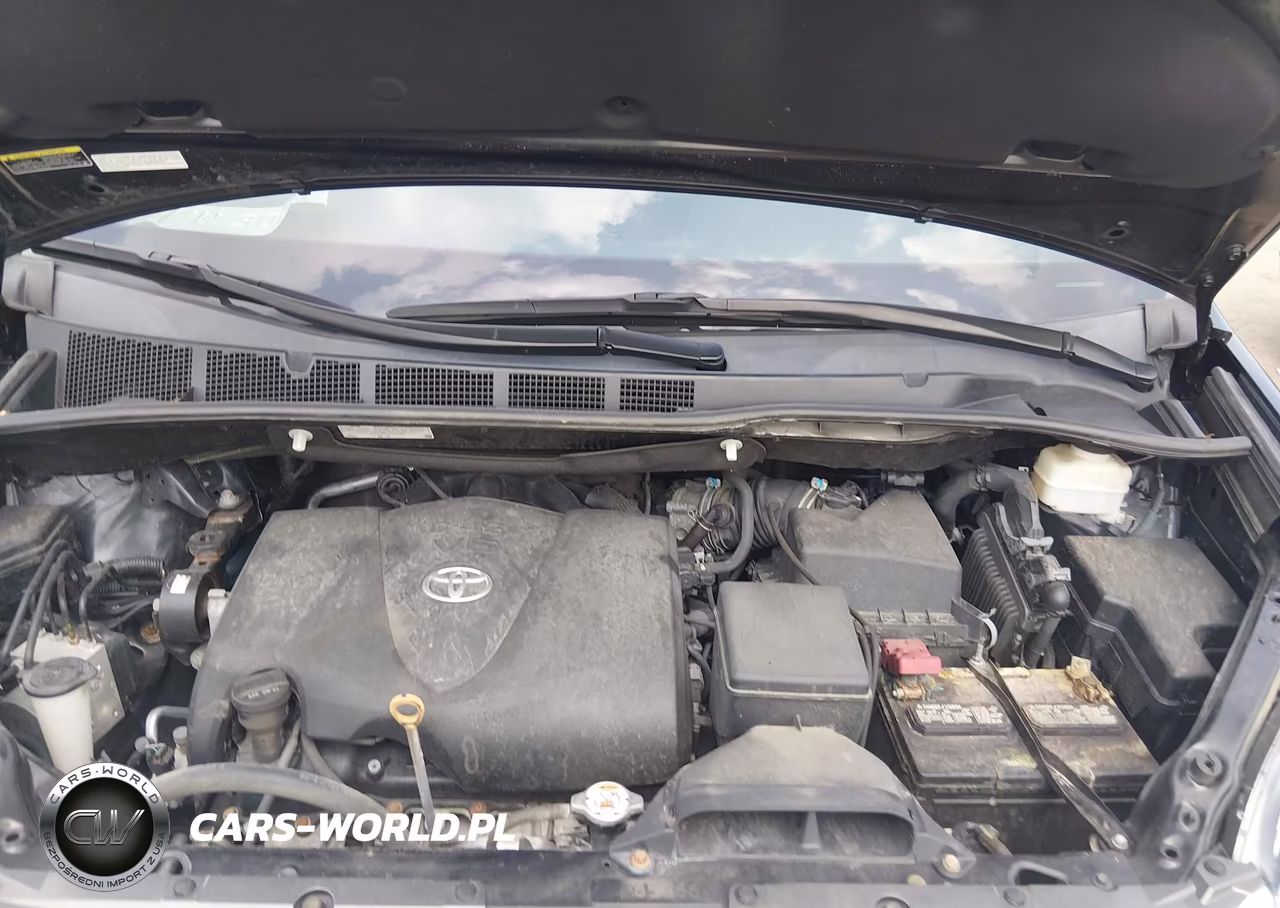2019 Toyota Sienna Xle 7 Passenger VIN:5TDDZ3DC2KS224948 - 10