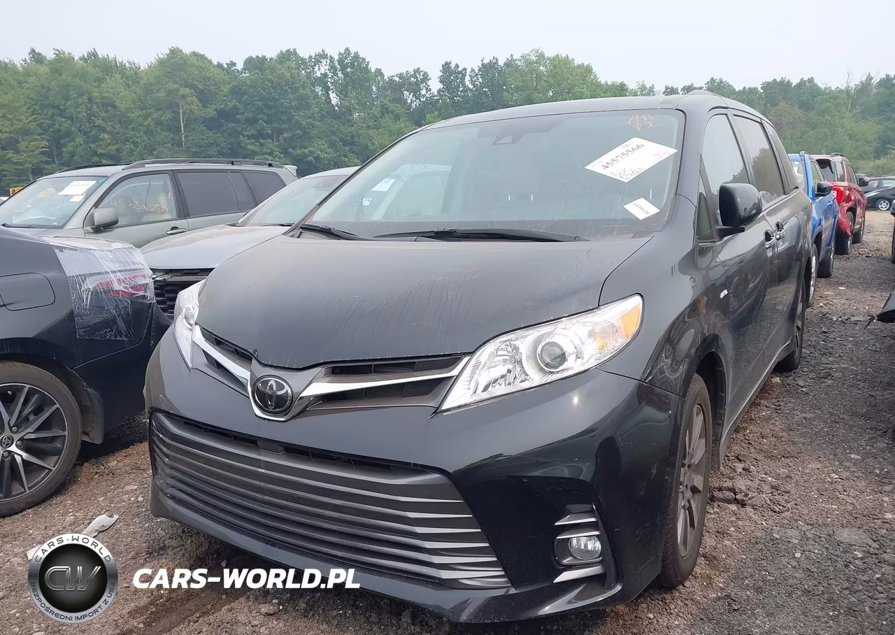 2019 Toyota Sienna Xle 7 Passenger VIN:5TDDZ3DC2KS224948 - 2
