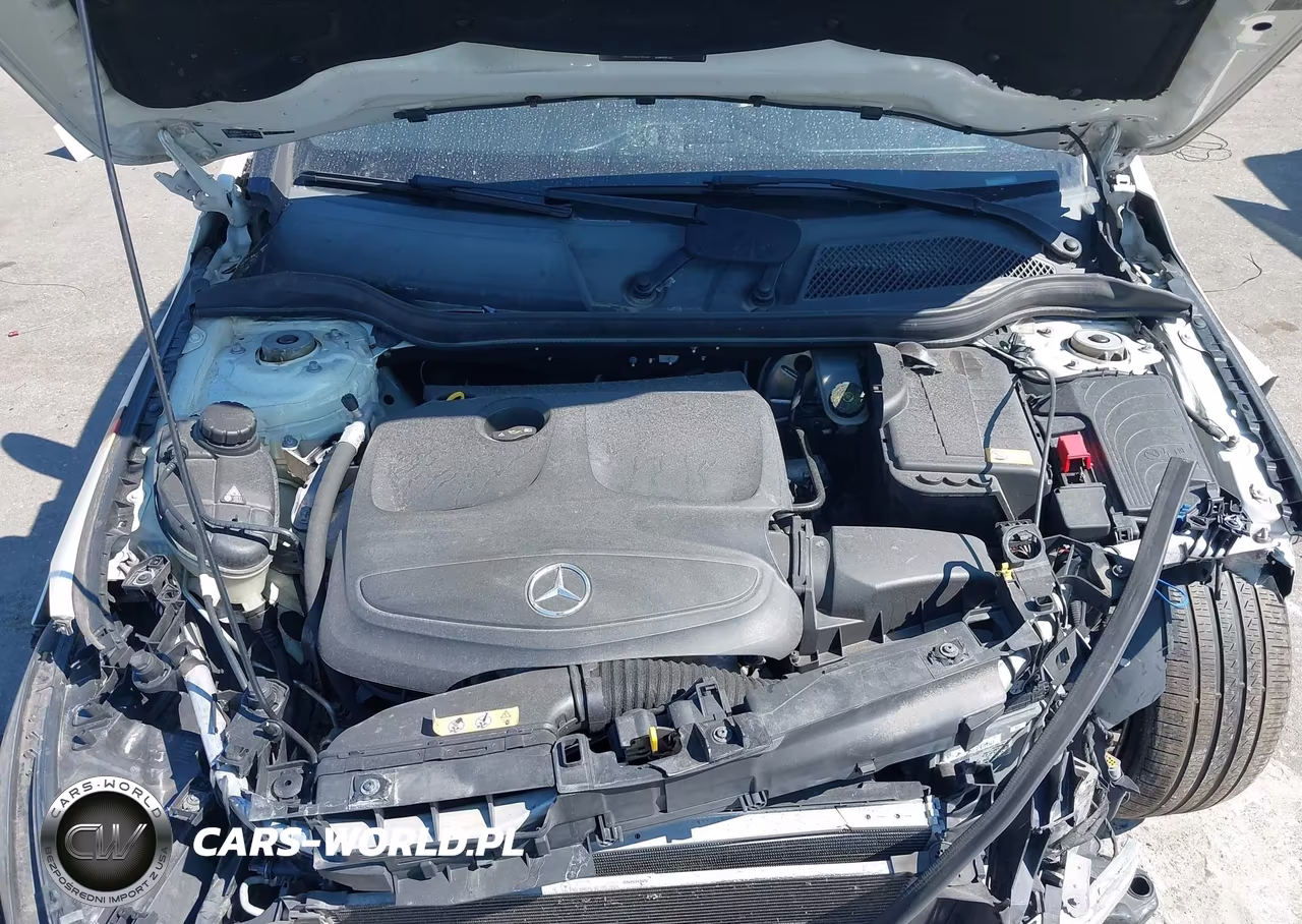 2014 Mercedes-Benz Cla 250 VIN:WDDSJ4EB6EN052627 - 10