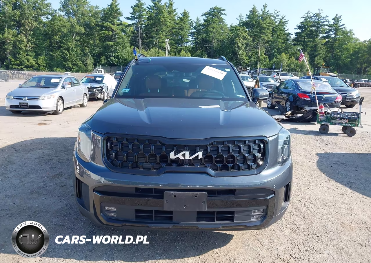 2024 Kia Telluride Sx Prestige X-Line VIN:5XYP5DGC9RG548481 - 12