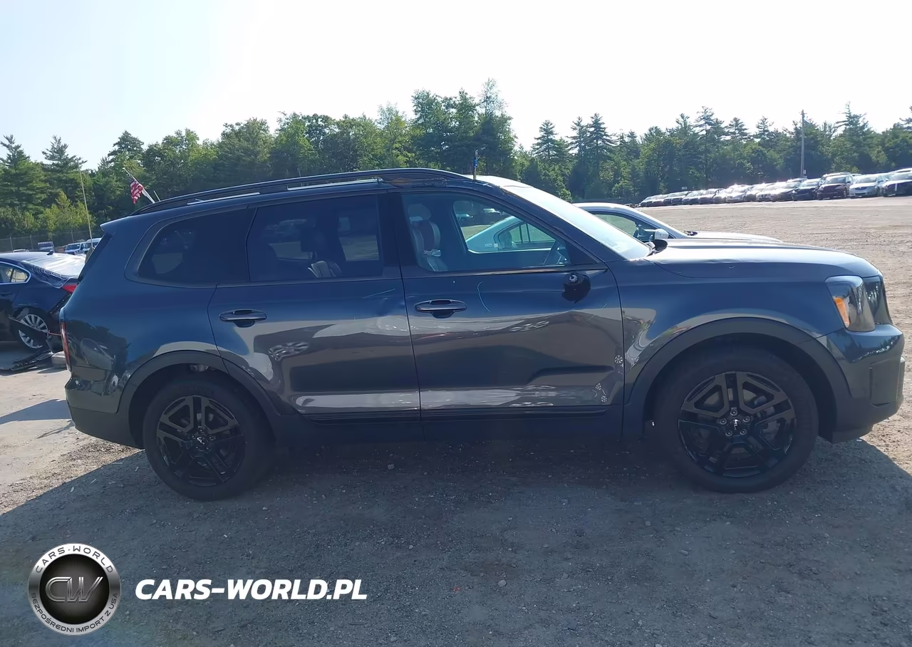2024 Kia Telluride Sx Prestige X-Line VIN:5XYP5DGC9RG548481 - 13