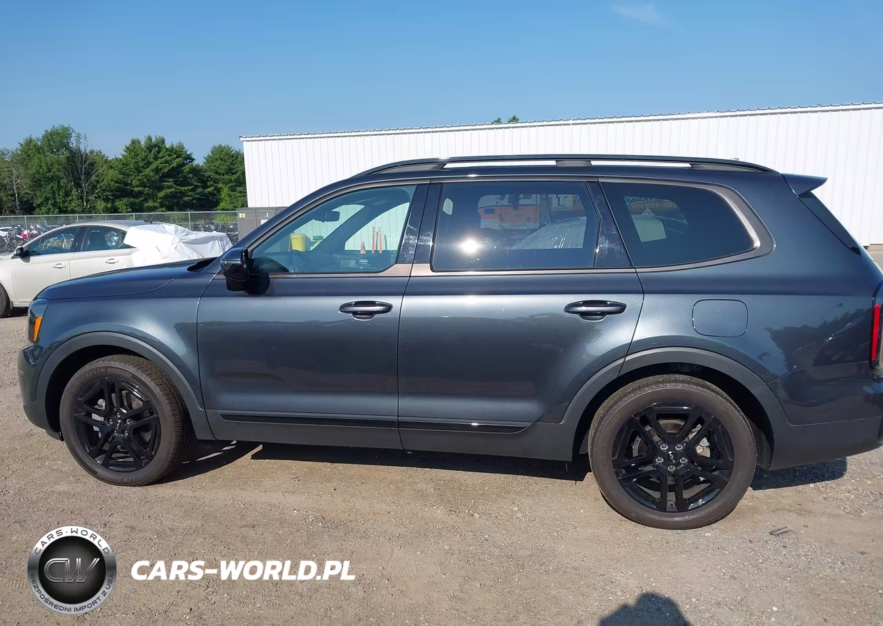 2024 Kia Telluride Sx Prestige X-Line VIN:5XYP5DGC9RG548481 - 14
