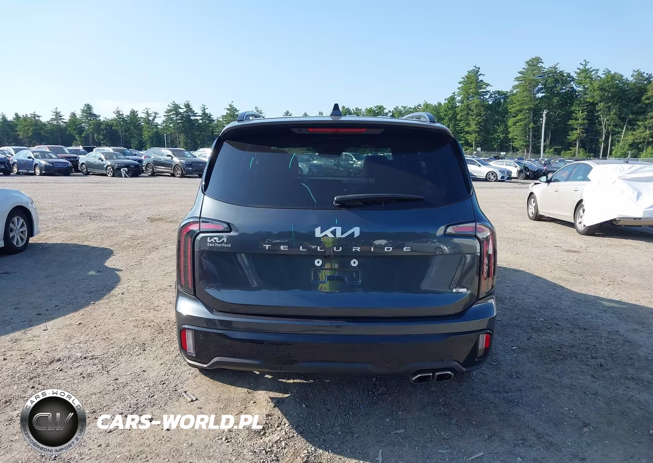 2024 Kia Telluride Sx Prestige X-Line VIN:5XYP5DGC9RG548481 - 16