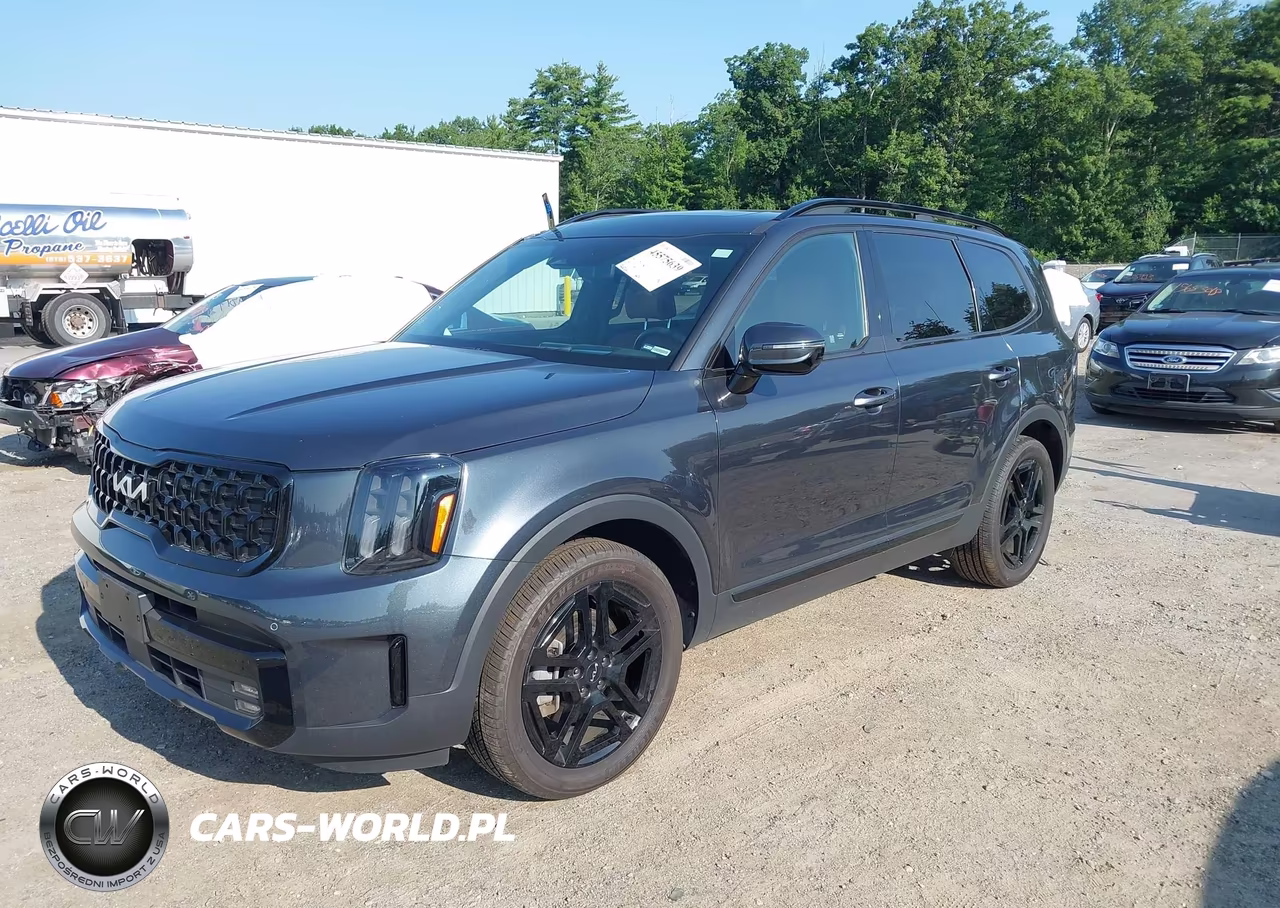 2024 Kia Telluride Sx Prestige X-Line VIN:5XYP5DGC9RG548481 - 2