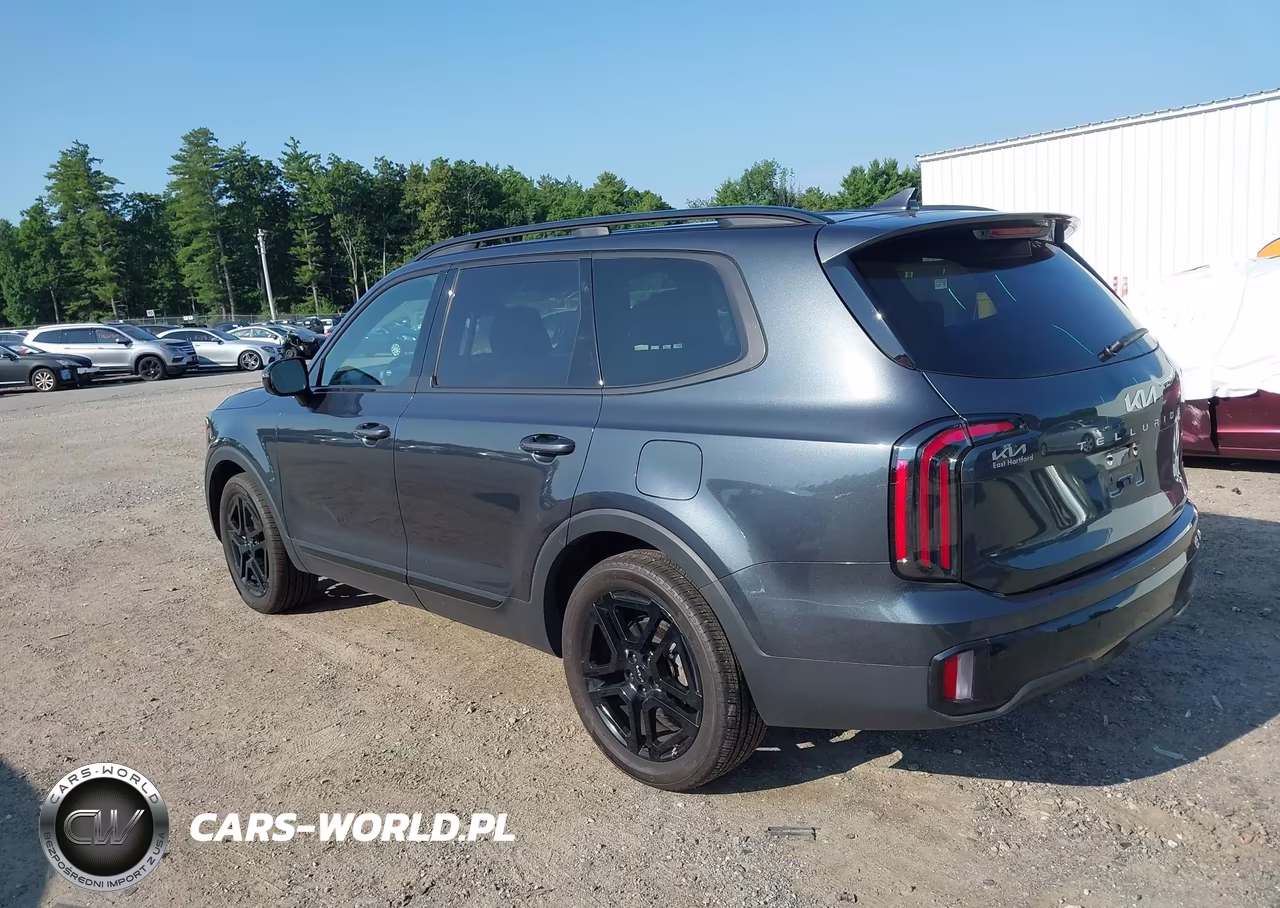 2024 Kia Telluride Sx Prestige X-Line VIN:5XYP5DGC9RG548481 - 3