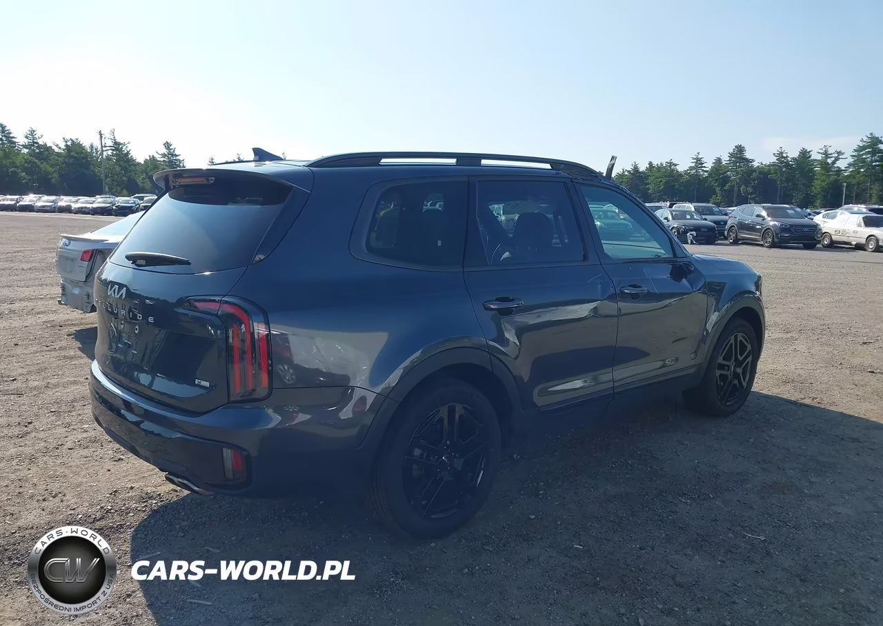 2024 Kia Telluride Sx Prestige X-Line VIN:5XYP5DGC9RG548481 - 4