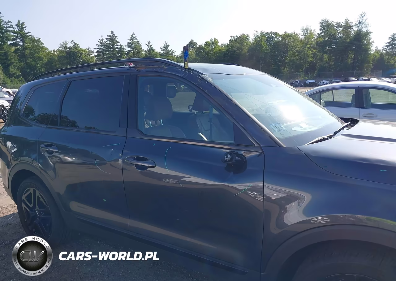 2024 Kia Telluride Sx Prestige X-Line VIN:5XYP5DGC9RG548481 - 6