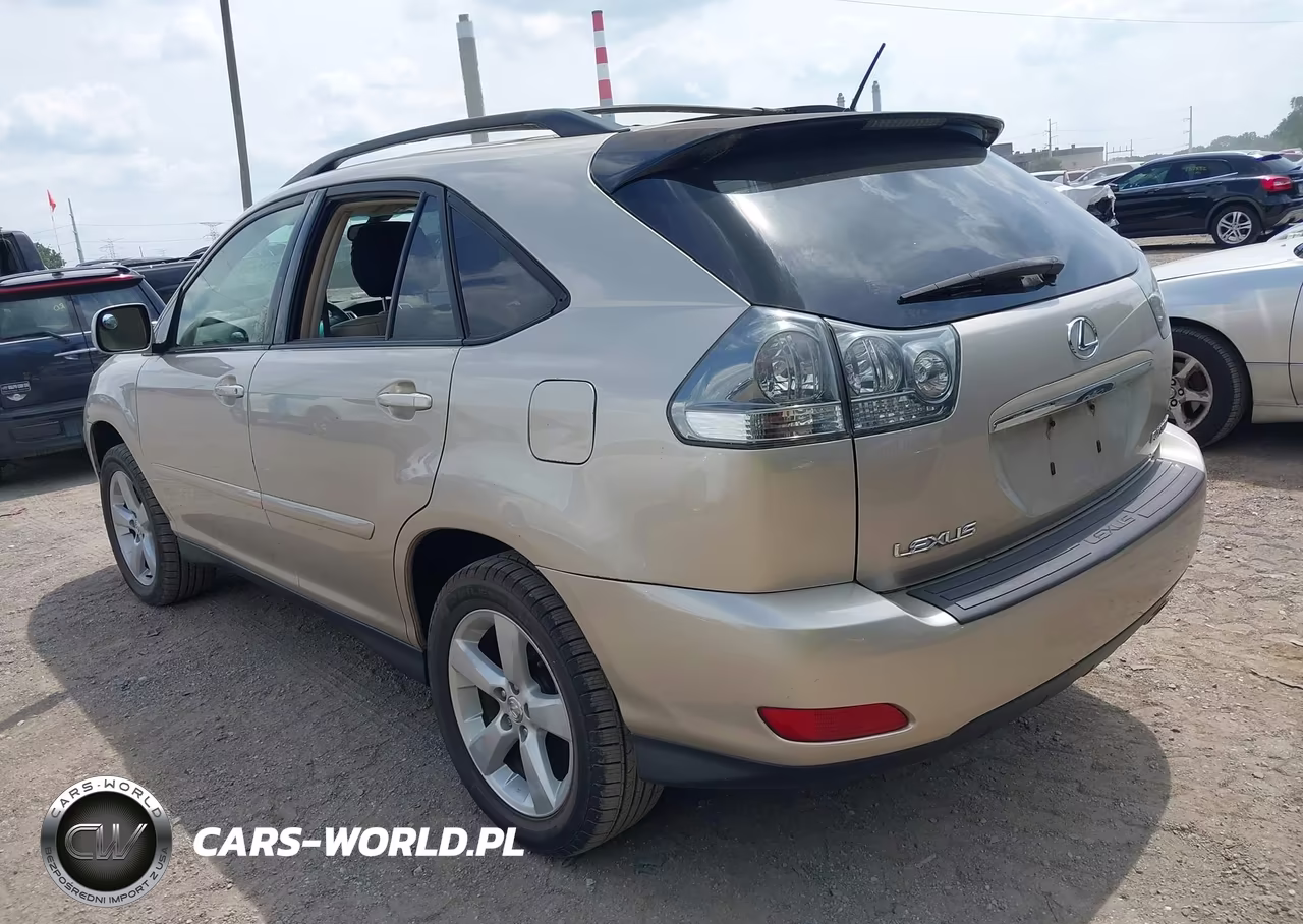 2004 Lexus Rx 330 VIN:JTJGA31U040039642 - 3