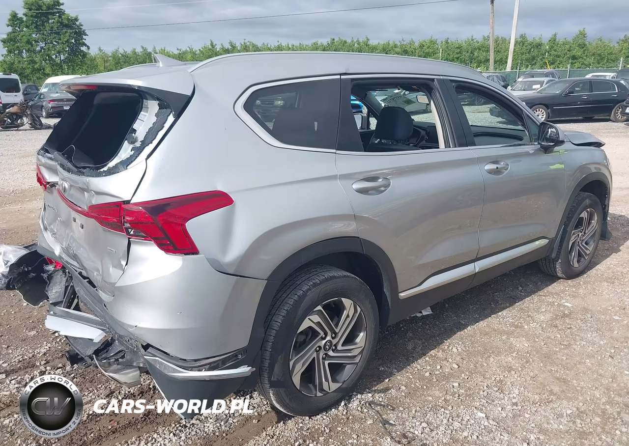 2022 Hyundai Santa Fe Sel VIN:5NMS2DAJ9NH429923 - 4