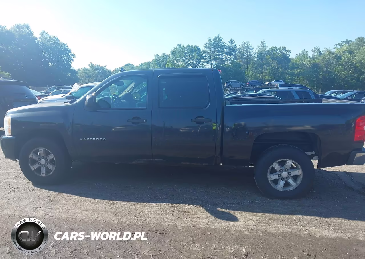 2010 Chevrolet Silverado 1500 Lt VIN:3GCRKSE3XAG120966 - 14