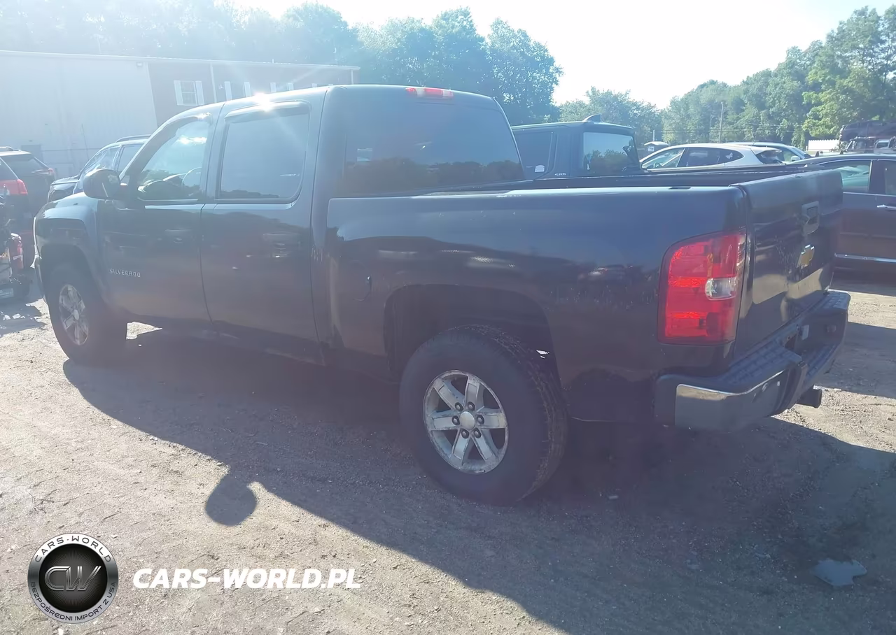 2010 Chevrolet Silverado 1500 Lt VIN:3GCRKSE3XAG120966 - 3