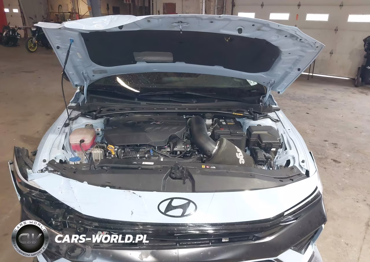2025 Hyundai Elantra N VIN:KMHLW4DK9SU025324 - 10